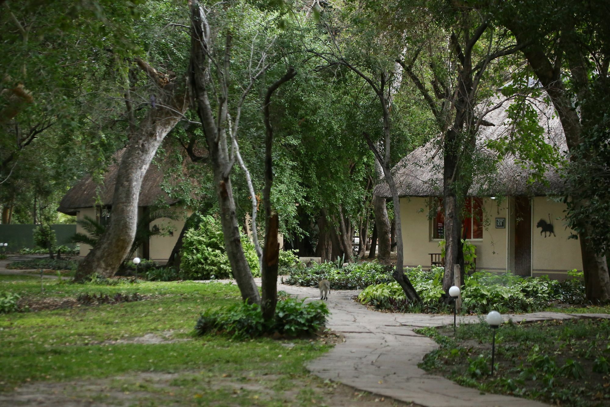 Island Safari Lodge Maun Extérieur photo