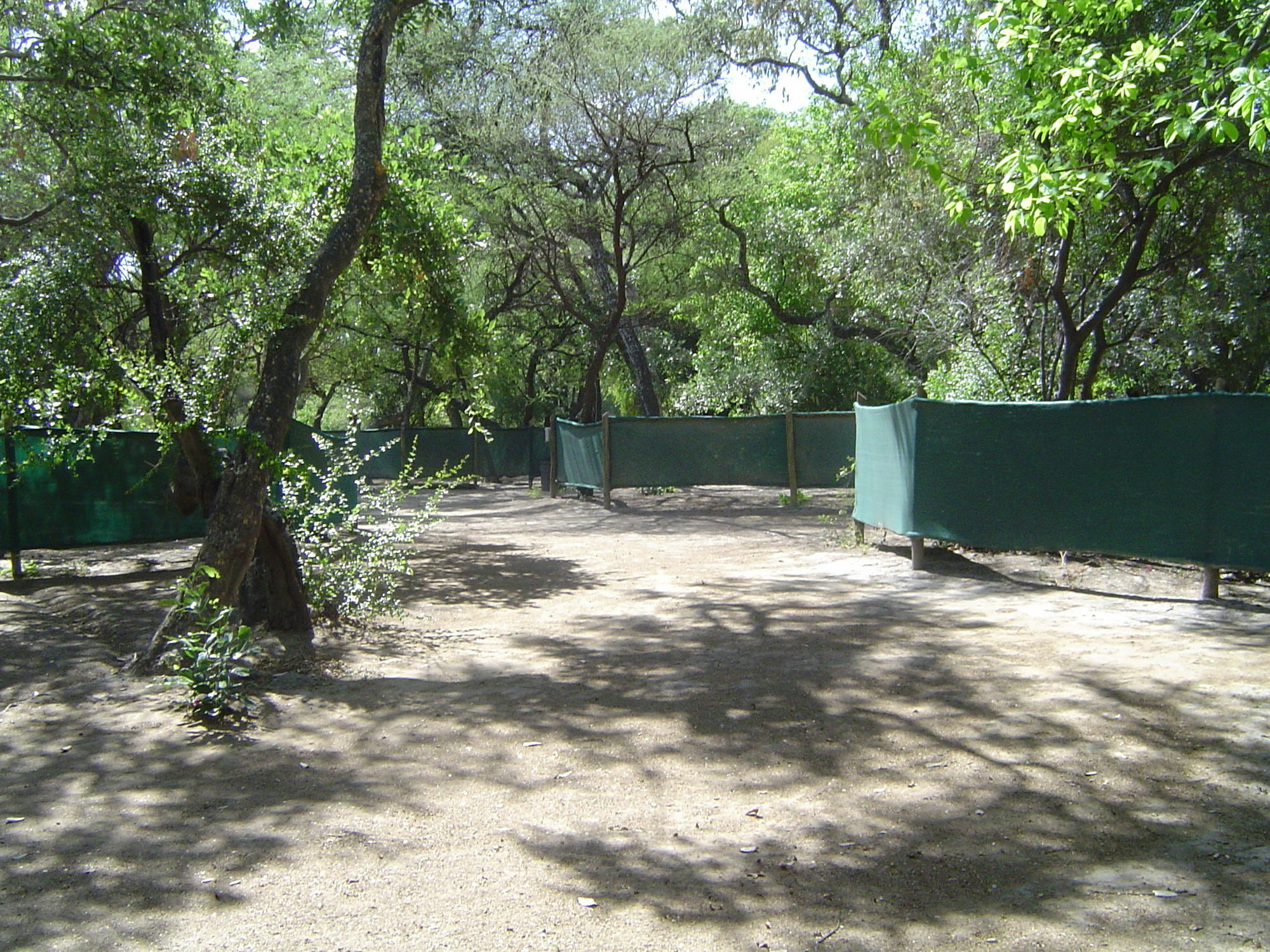 Island Safari Lodge Maun Extérieur photo